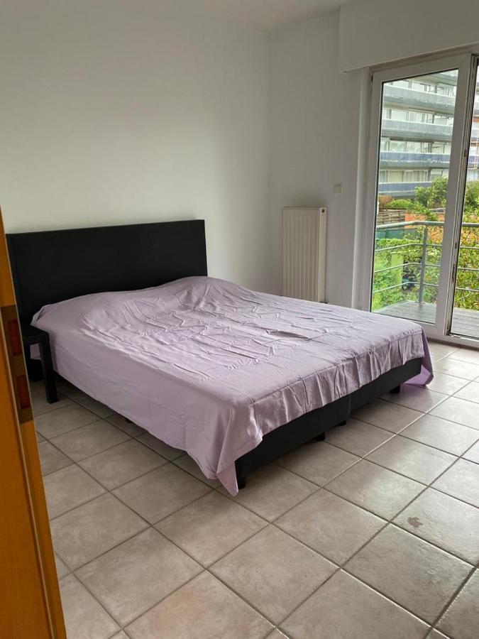 Superbe Appartement Lumineux Et Spacieux أنتويرب المظهر الخارجي الصورة